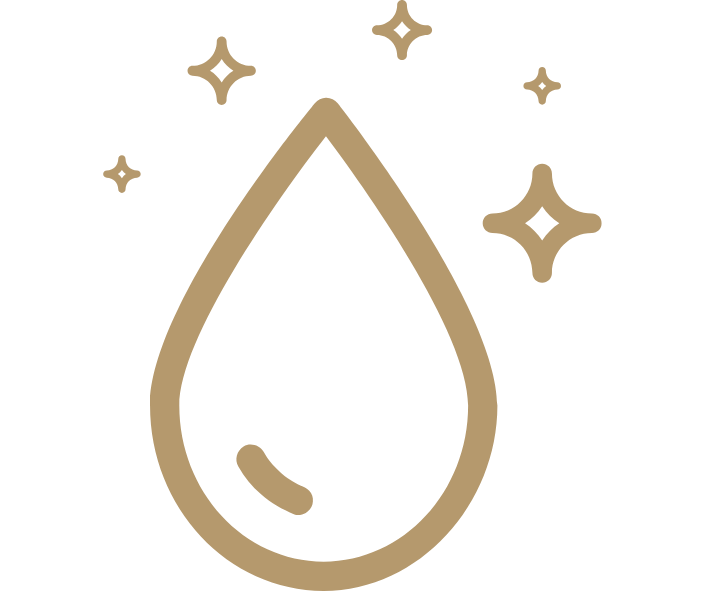 Reinigung Icon