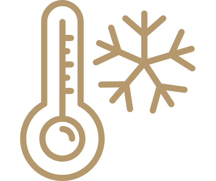 Jahreszeiten Icon