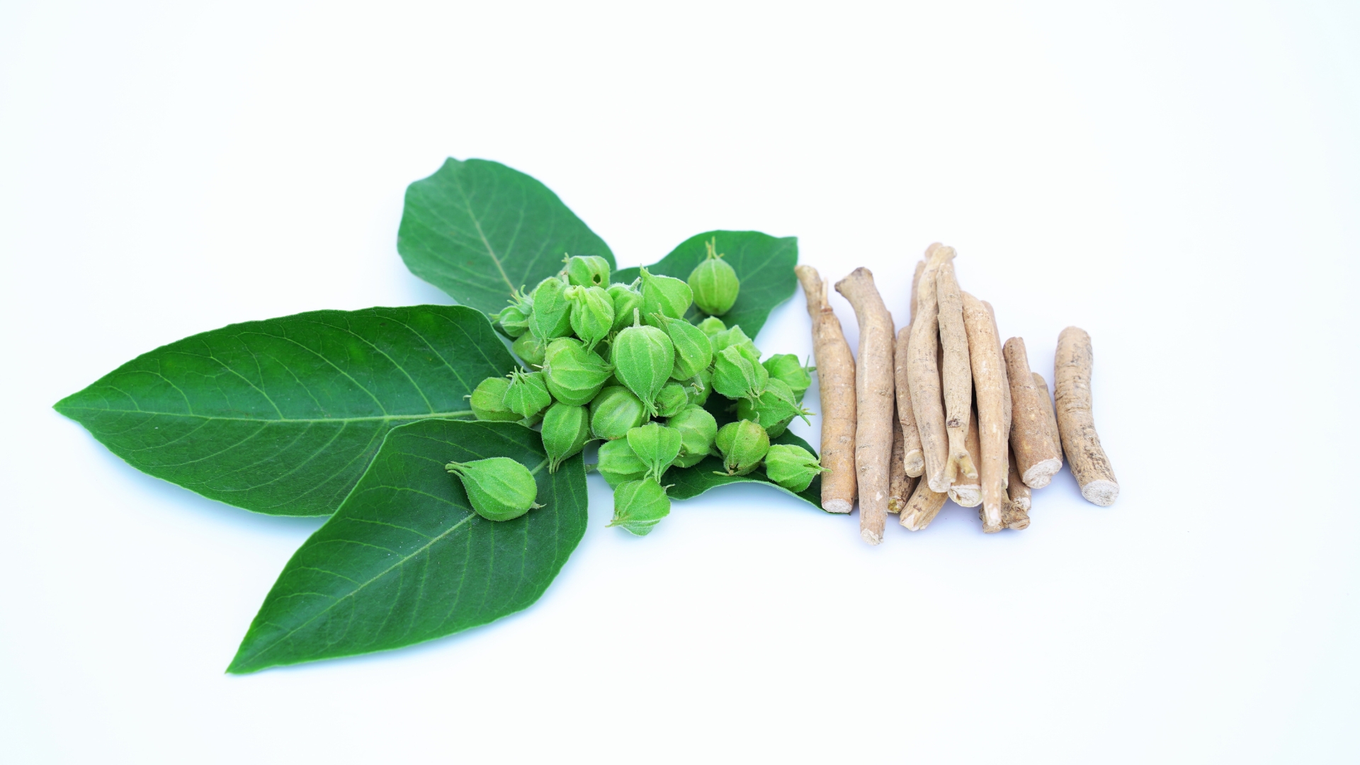 Ashwagandha in der Hautpflege